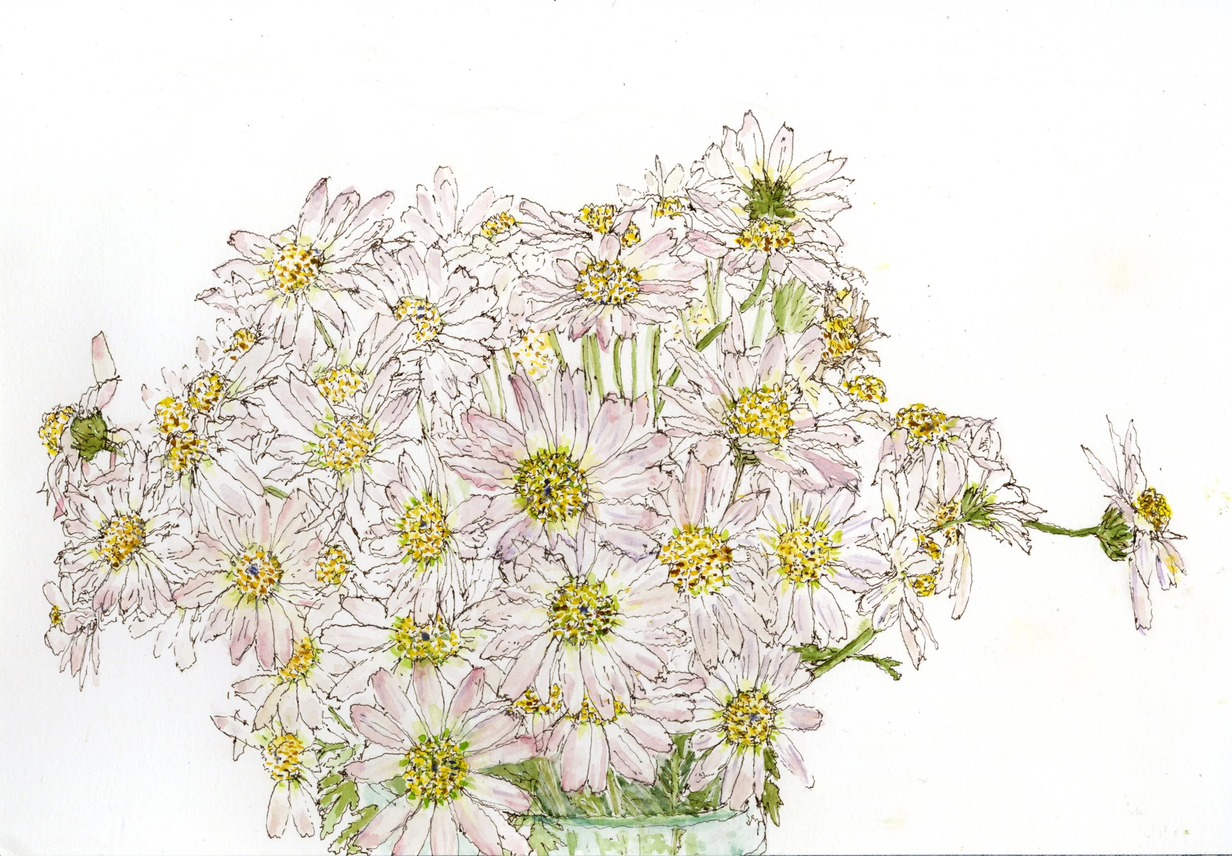 Dying Flowers: Fall Daisies 1