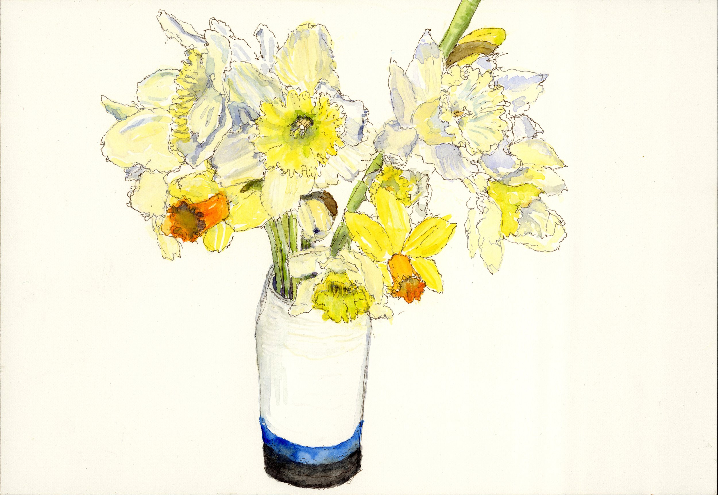 Dying Flowers: Daffodils 1, Watercolor and Ink on Paper, 7" X 10", 2026