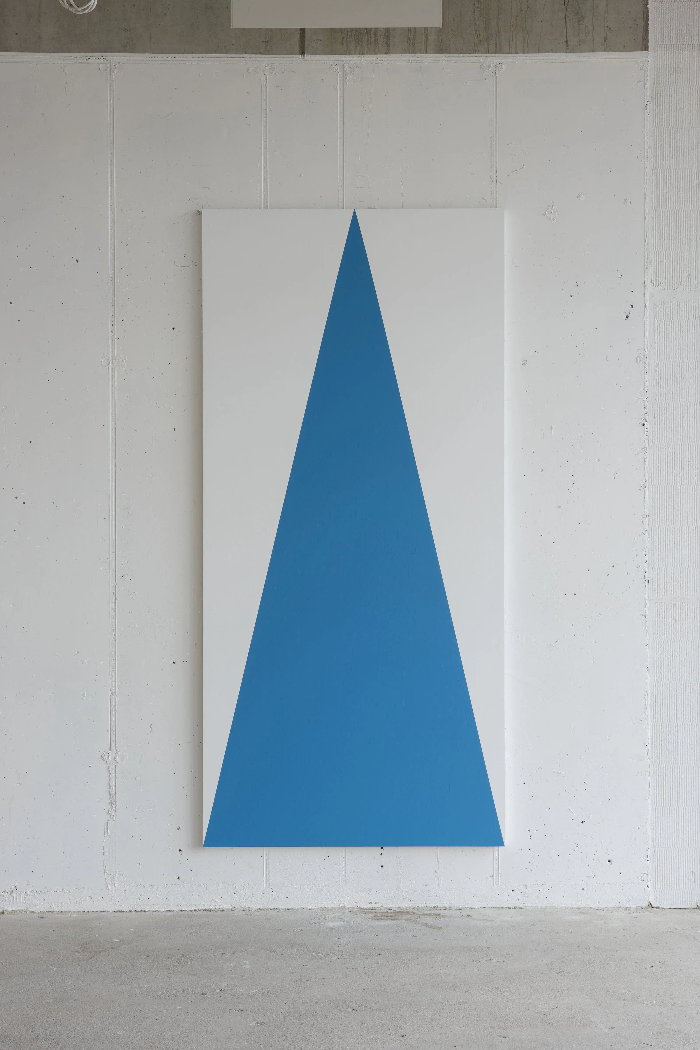 Sky2016Acrylic on aluminium249 x 118 x 4 cm