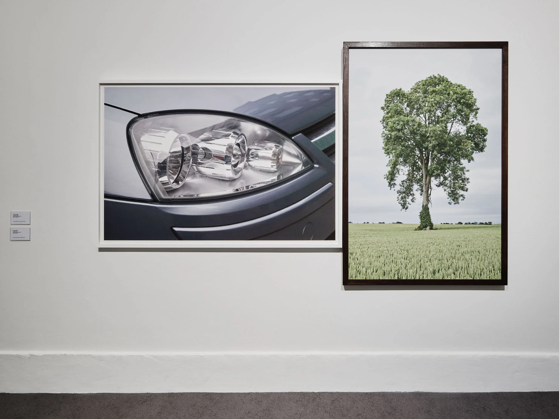 oedipus (2008) and Tree (2014)Installation view Fergus Martin Then and Now, Irish Museum of Modern Art, 2019