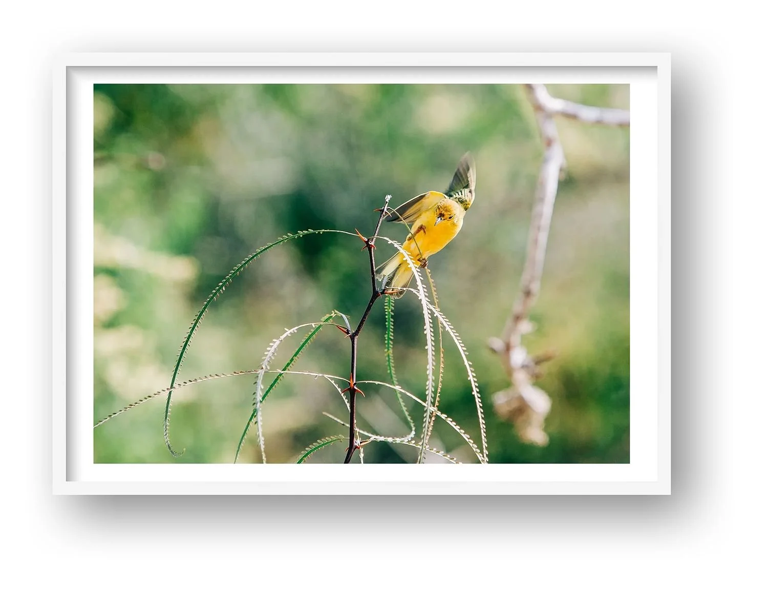 preview_a88962c5_eea5fa81.jpg