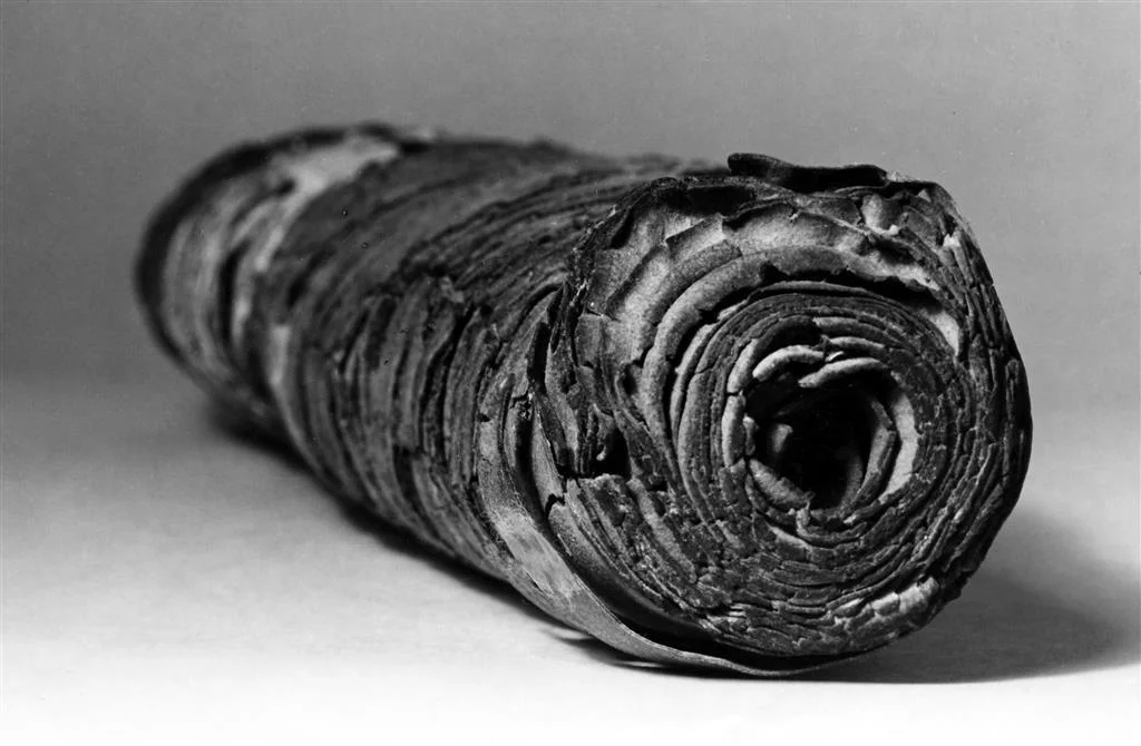 Genesis Apocryphon Scroll (1QapGen) © The Israel Museum , Jerusalem