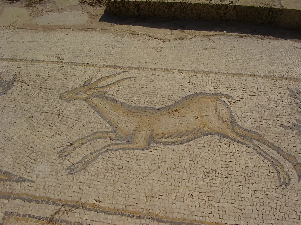 Byzantine-period mosaic of a stag | Caesarea, Israel | Image Source