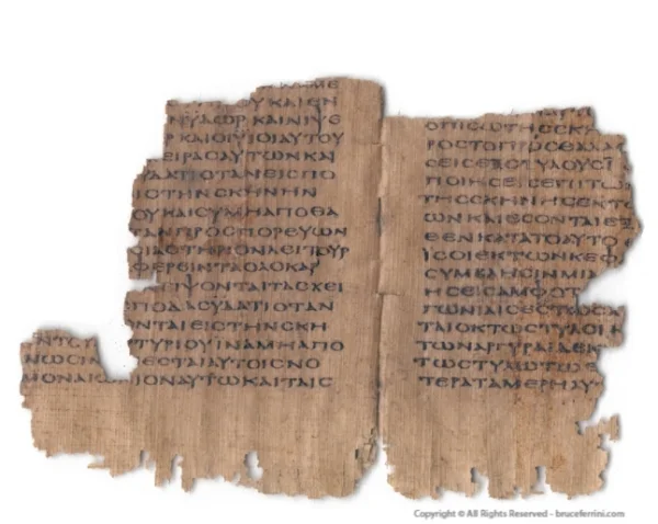 Papyrus bifolium from a codex containing Exodus in Greek at one point in the possession of Bruce Ferrini; image source: http://www.bruceferrini.com/