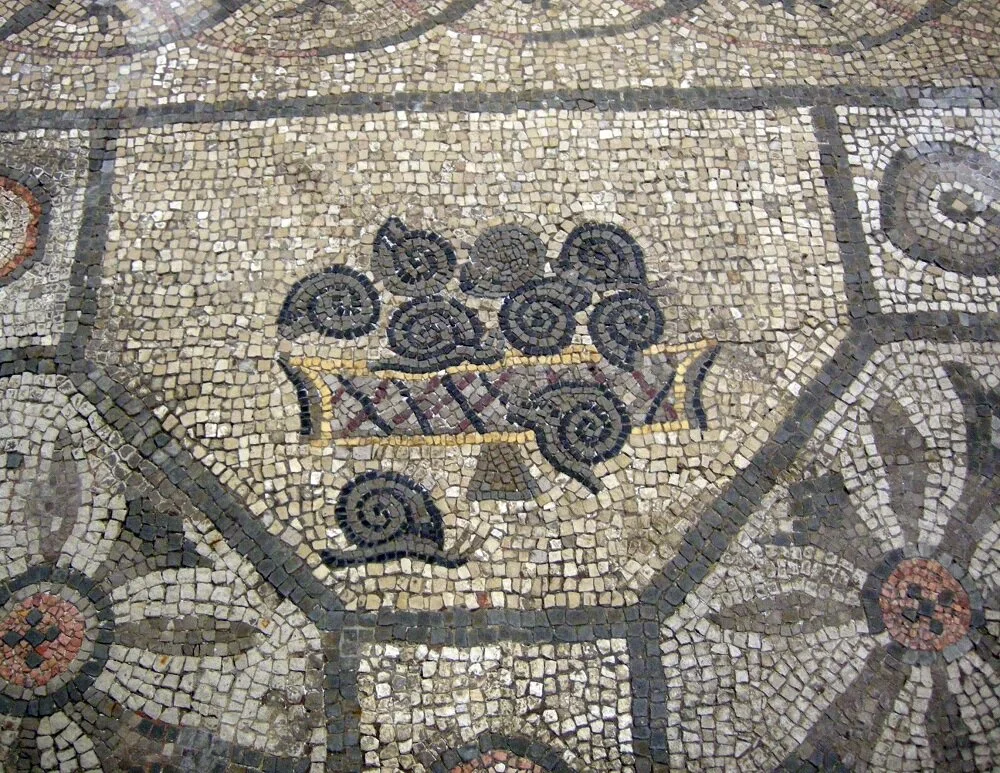 Mosaic of a snail and fruit basket | From the Basilica Patriarcale in Aquileia | Image Source