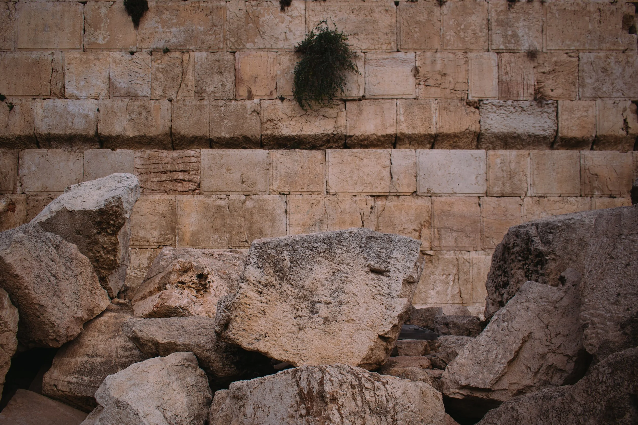 "They Shall Teach Your Statues to Jacob": Priests, Scribes, and Sages in Second Temple Times 