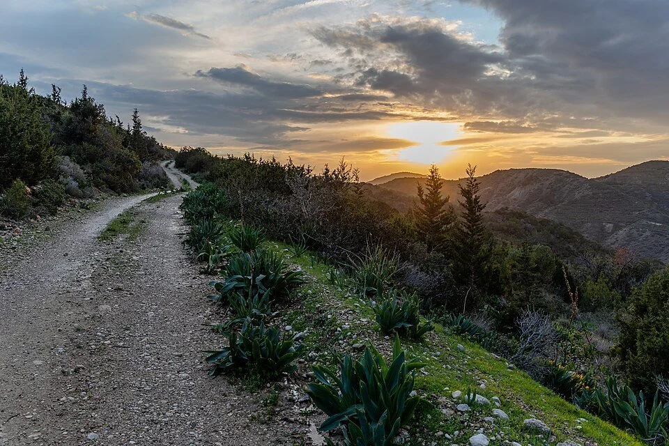 Building a Garden Nest: Burrus’s Hagiogeography of Jerome’s Hilarion