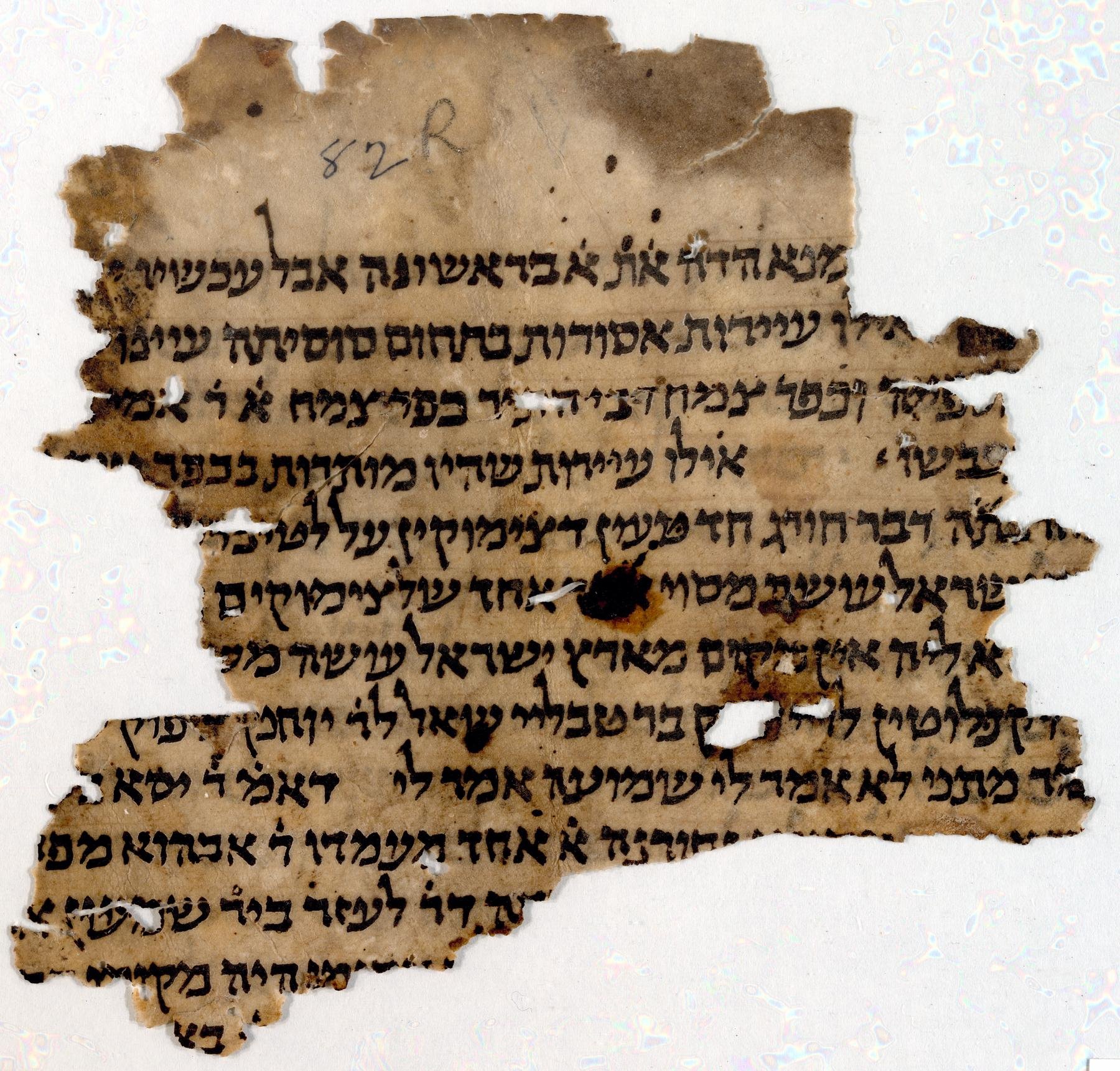 Vidas’ Yerushalmi and the Reputation of the Tannaim