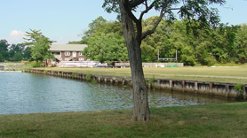 Traditional Bulkhead