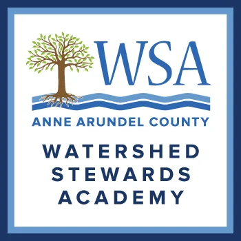WSA Certification Course Session 12 - Community Assessment Presentations