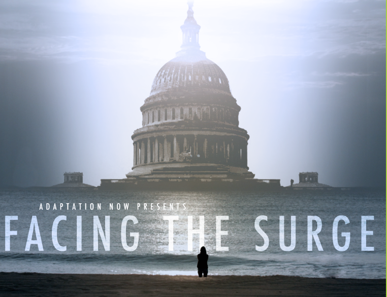 Facing the Surge