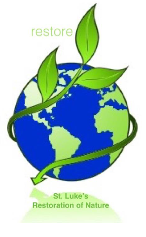 St. Luke's Blue and Green Festival