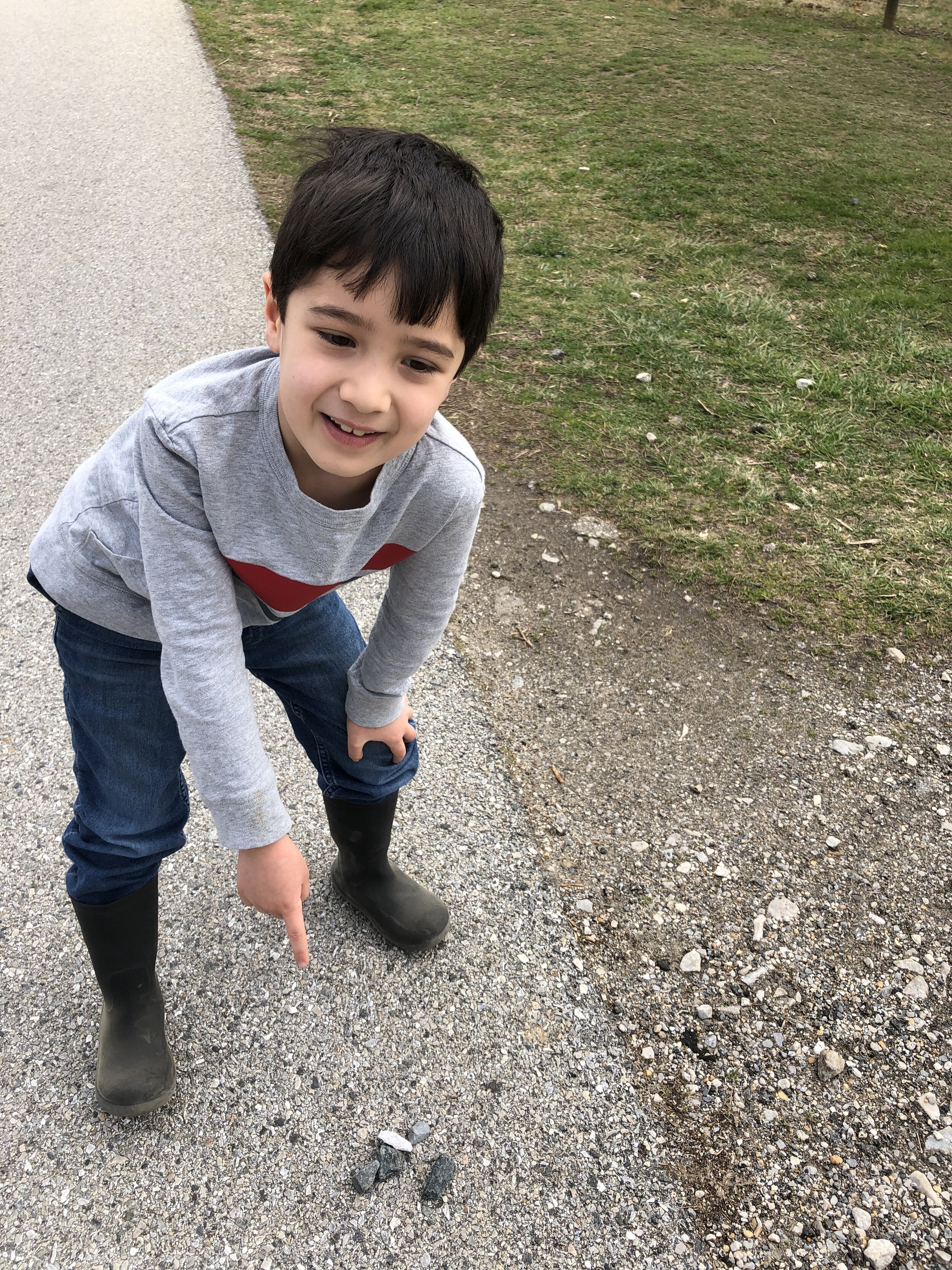 4 Finding our acorns at the end of the hike.JPG