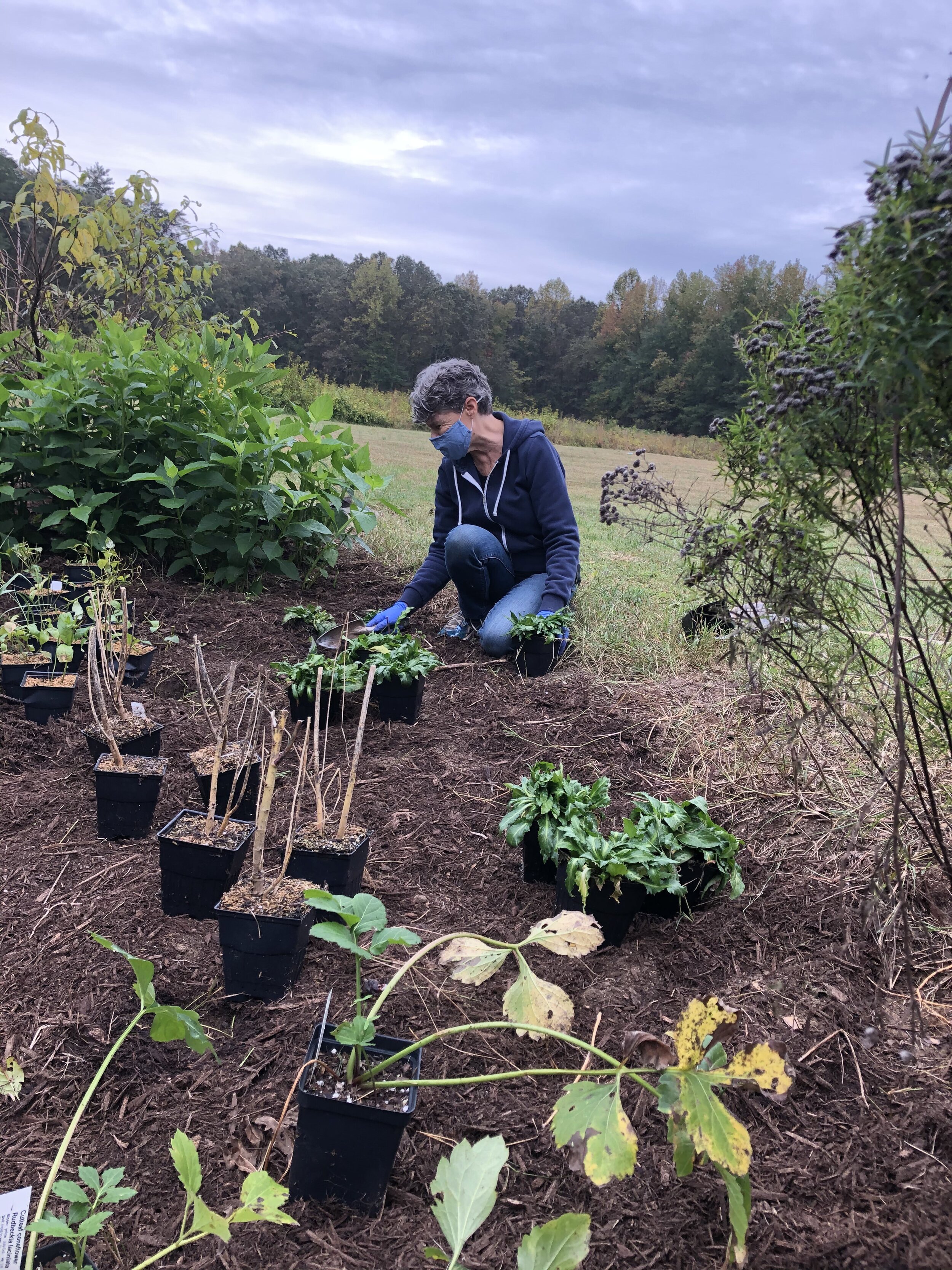 planting_1_Petenbrink.jpg