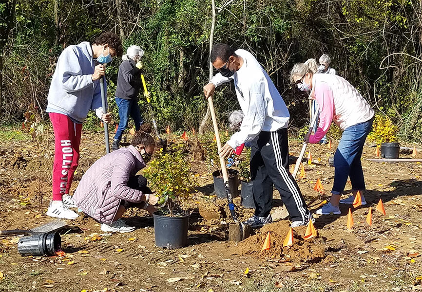 SABB-shrub-planting-2-2.jpg