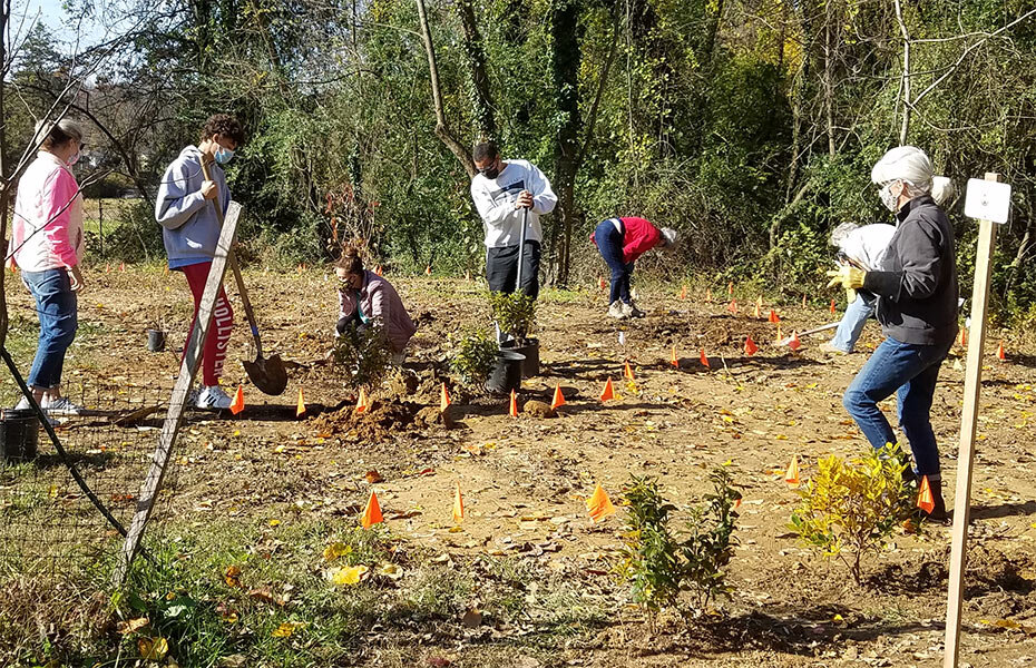 SABB-shrub-planting-2-3-2.jpg