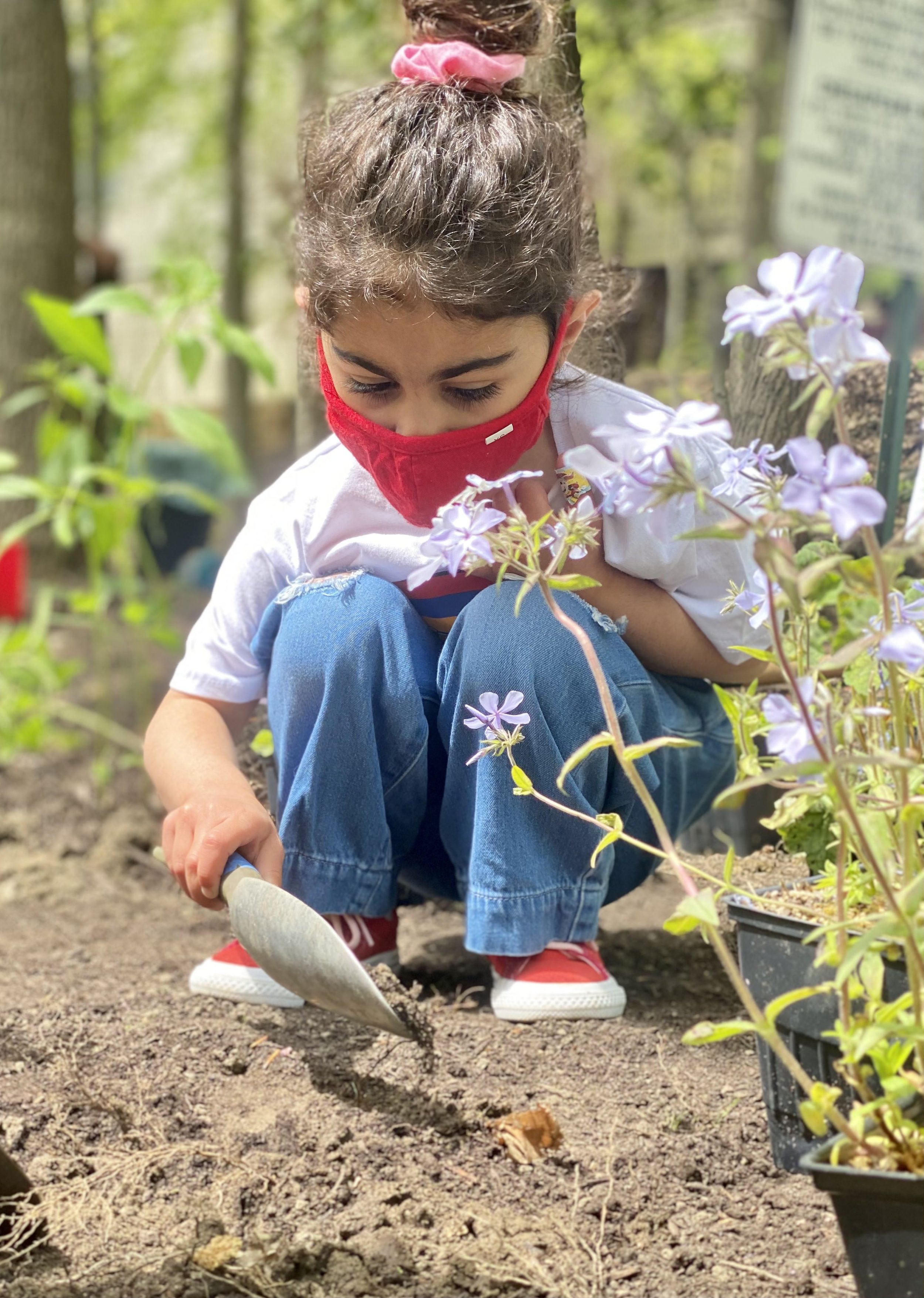 20_Micaela_digging_hole_for_woodland_phlox.jpg