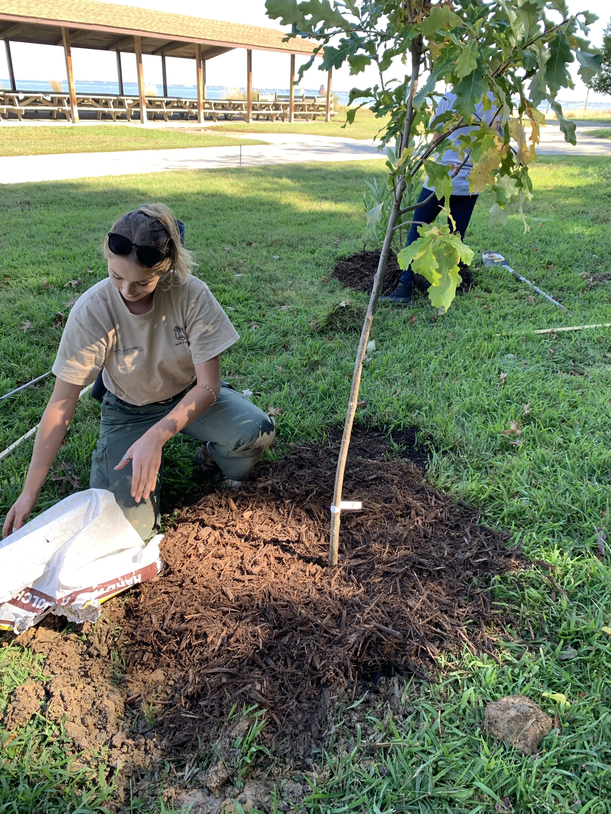 Community Planting Event
