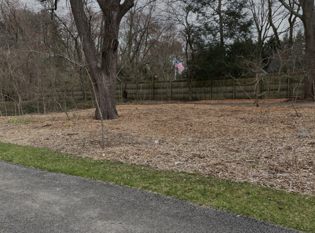  Forest Restoration Project