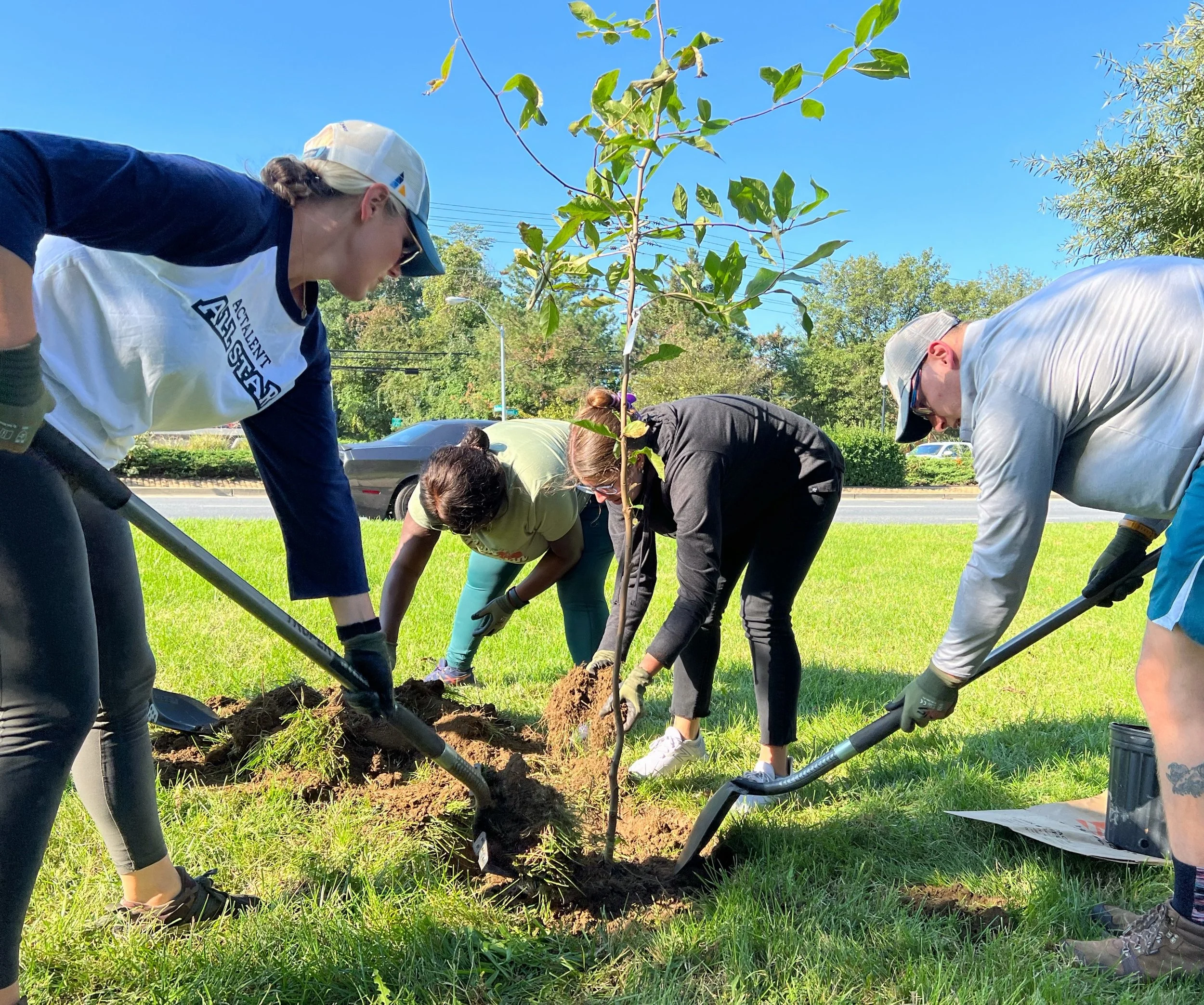 Tree Trooper  Tree Planting Event (Day 1)