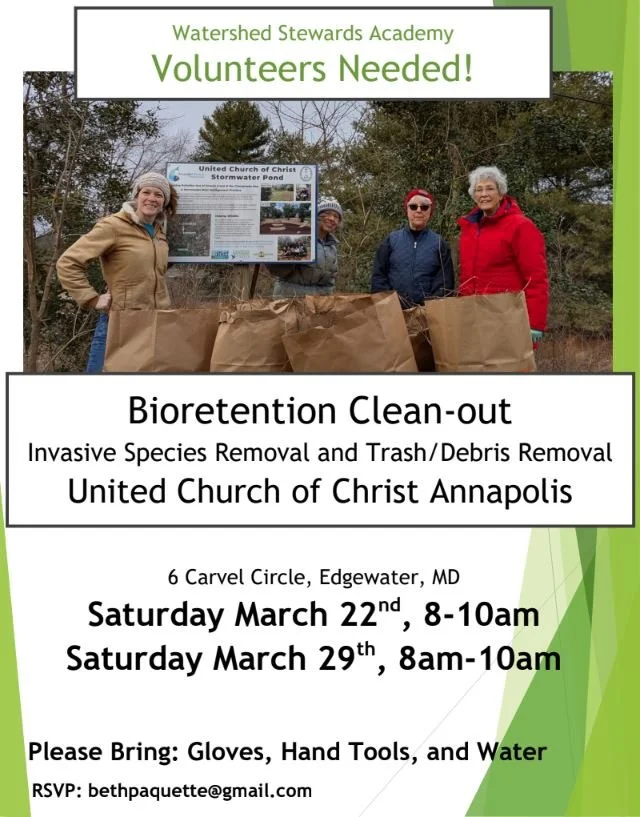 WSA Bioretention Cleanout