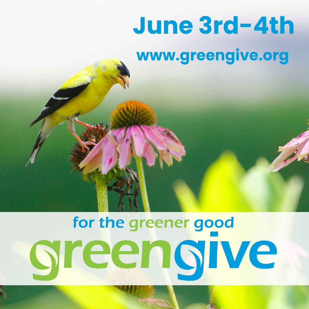 GreenGive Fundraising Event