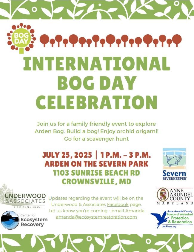 International Bog Day Celebration