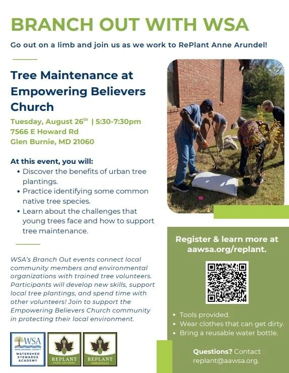 Branch Out with WSA!