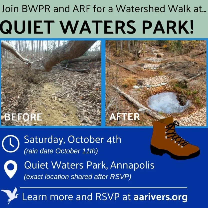 BWPR &amp; ARF Watershed Walk at Quiet Waters Park