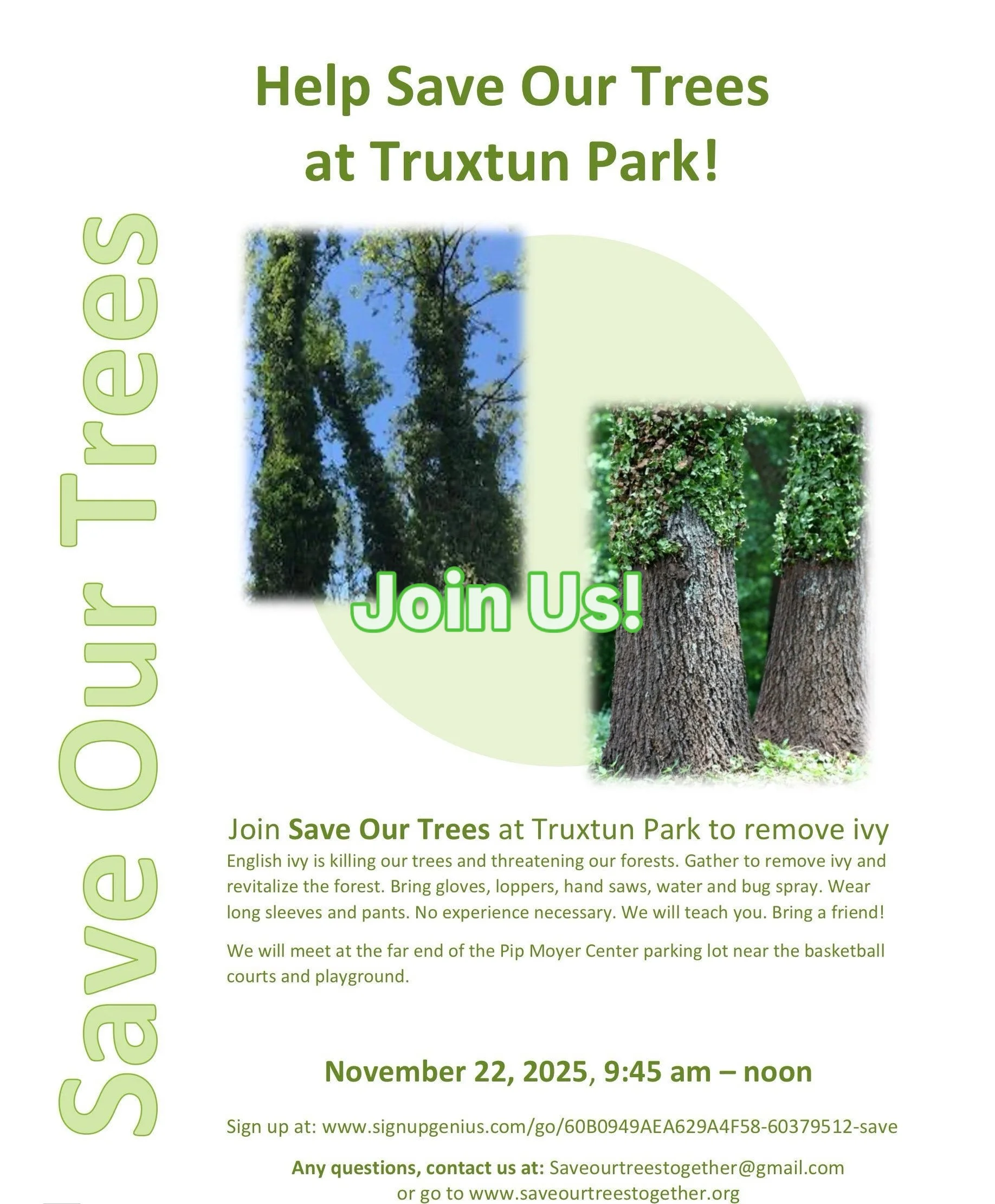 WSA's Save Our Trees: Remove Ivy from Truxtun Park