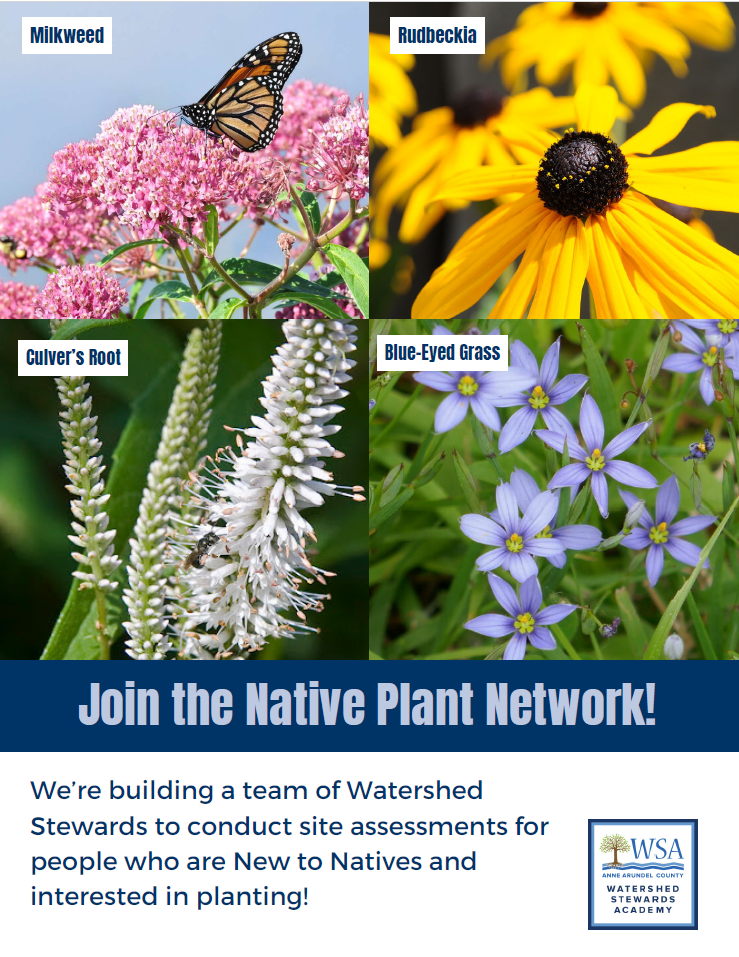 WSA Native Plant Network