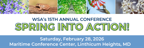 Spring Into Action! Conference
