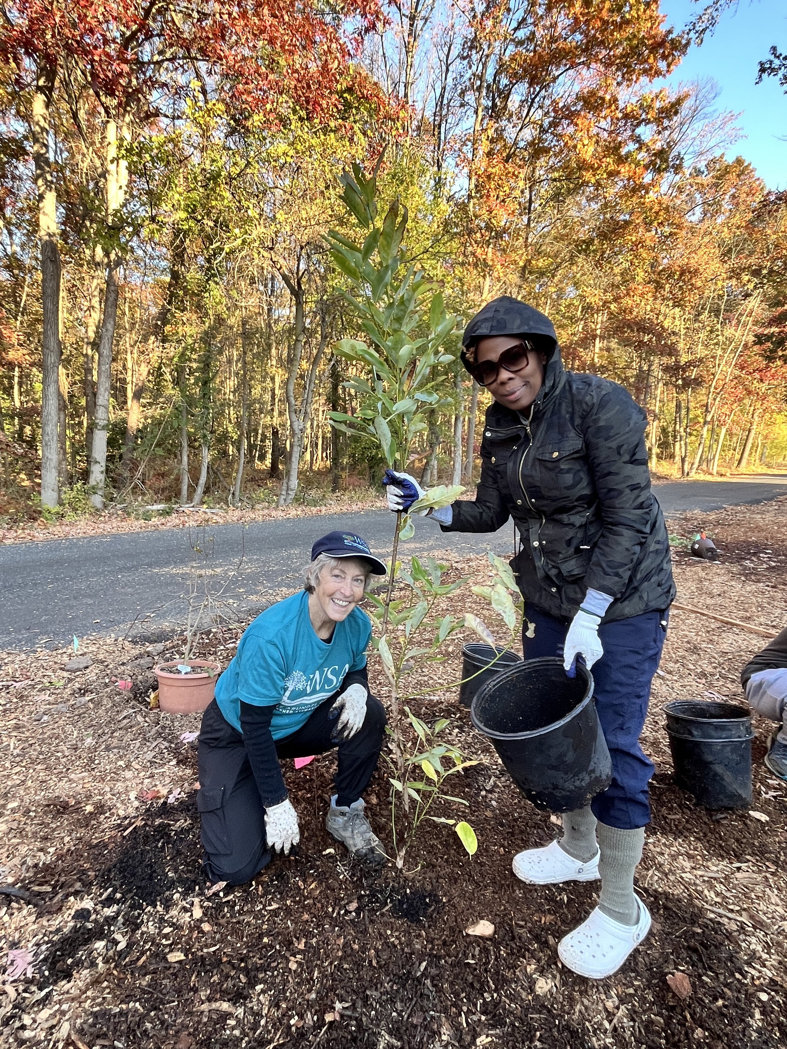 Living &amp; Learning Our Watershed