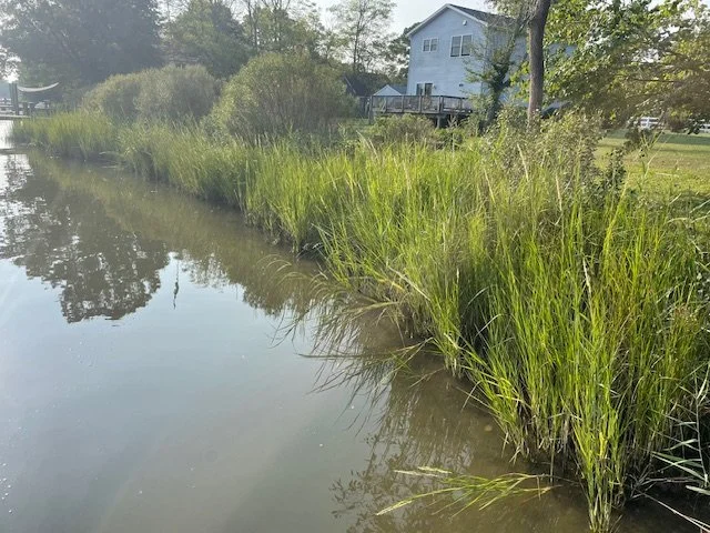 2026 Ann Jackson Steward of the Year