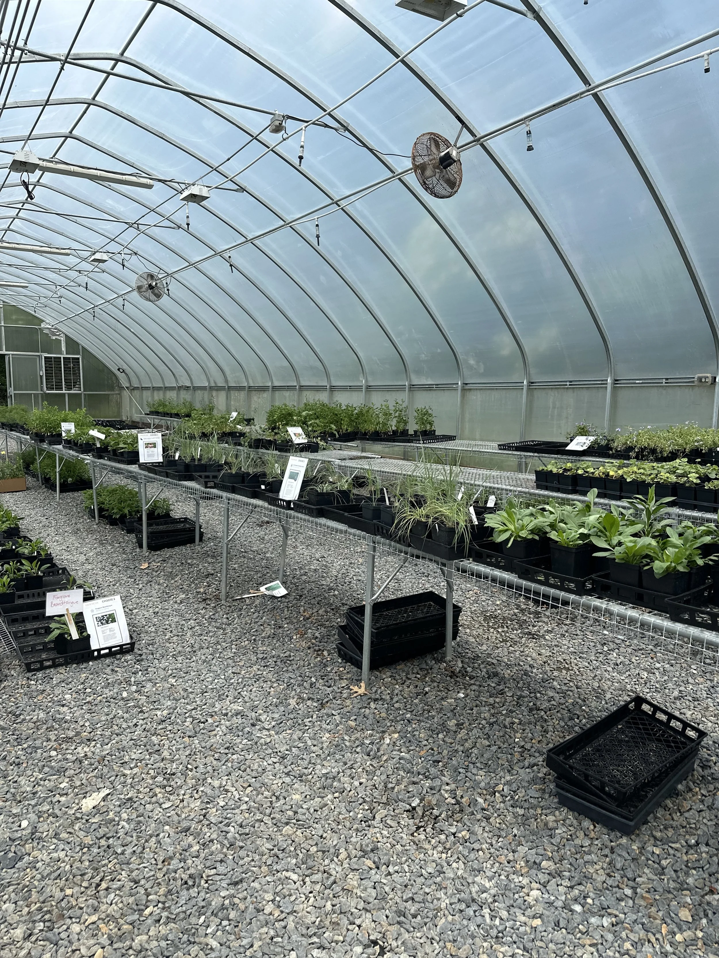 2026 Consortium Member of the Year