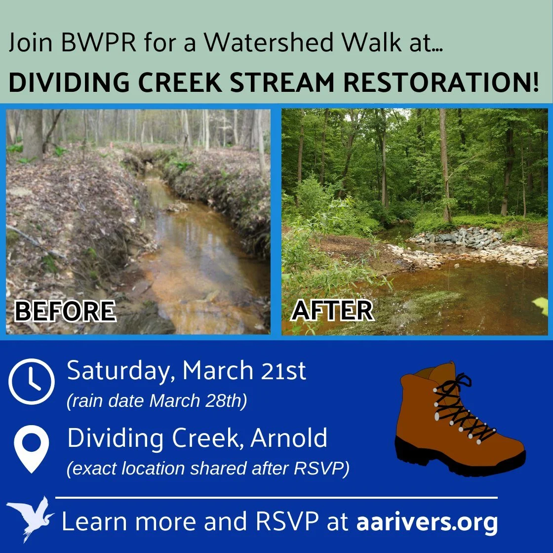 BWPR: Watershed Walk at Dividing Creek Stream Restoration