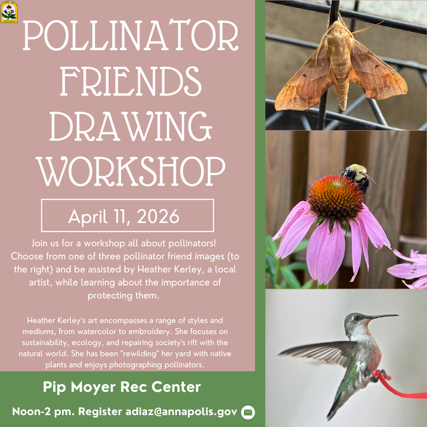 Pollinator Friends Drawing Workshop 