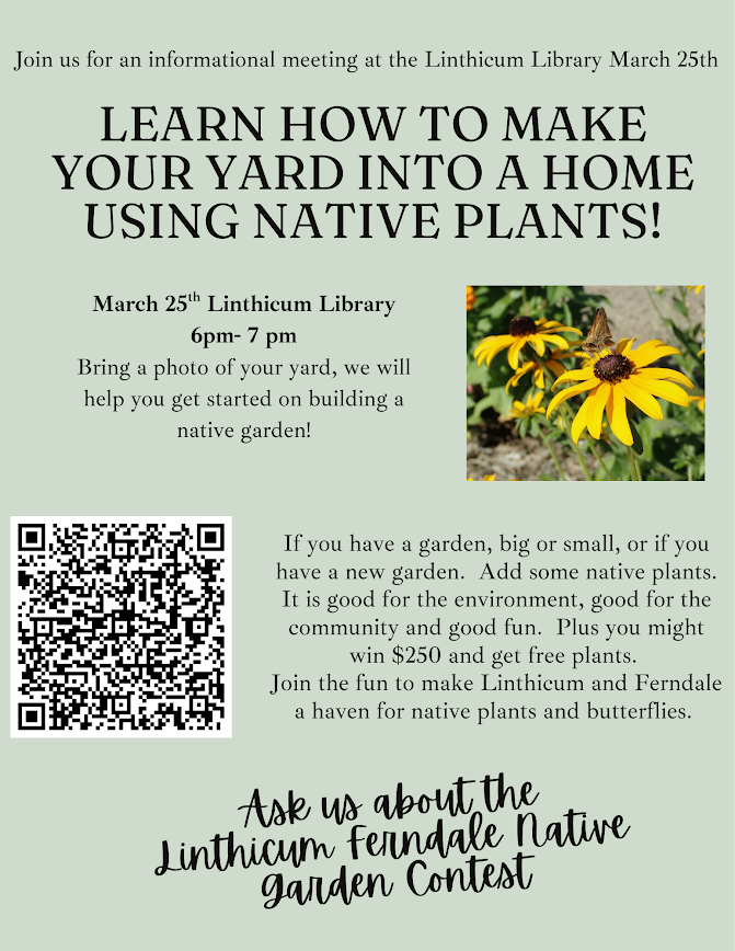 Learn How to Make your Yard into a Home with Native Plants