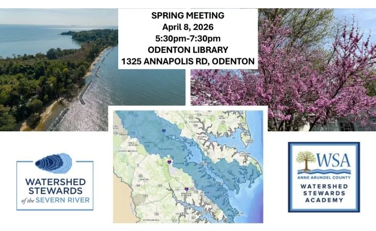 Watershed Stewards of the Severn River Spring Meeting