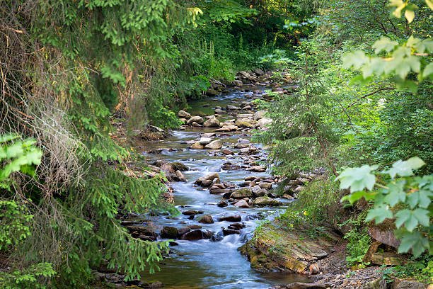 Project Clean Stream Cape St. Claire