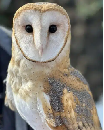 CCC: Spring Open House