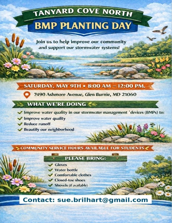 BMP Planting Day - Tanyard Cove North