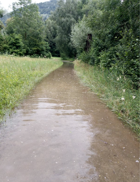 Class 12's Impact Uploaded_Photo Flood.png