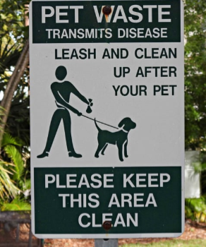 Class 12's Impact Uploaded_Photo Pet Waste Sign.png