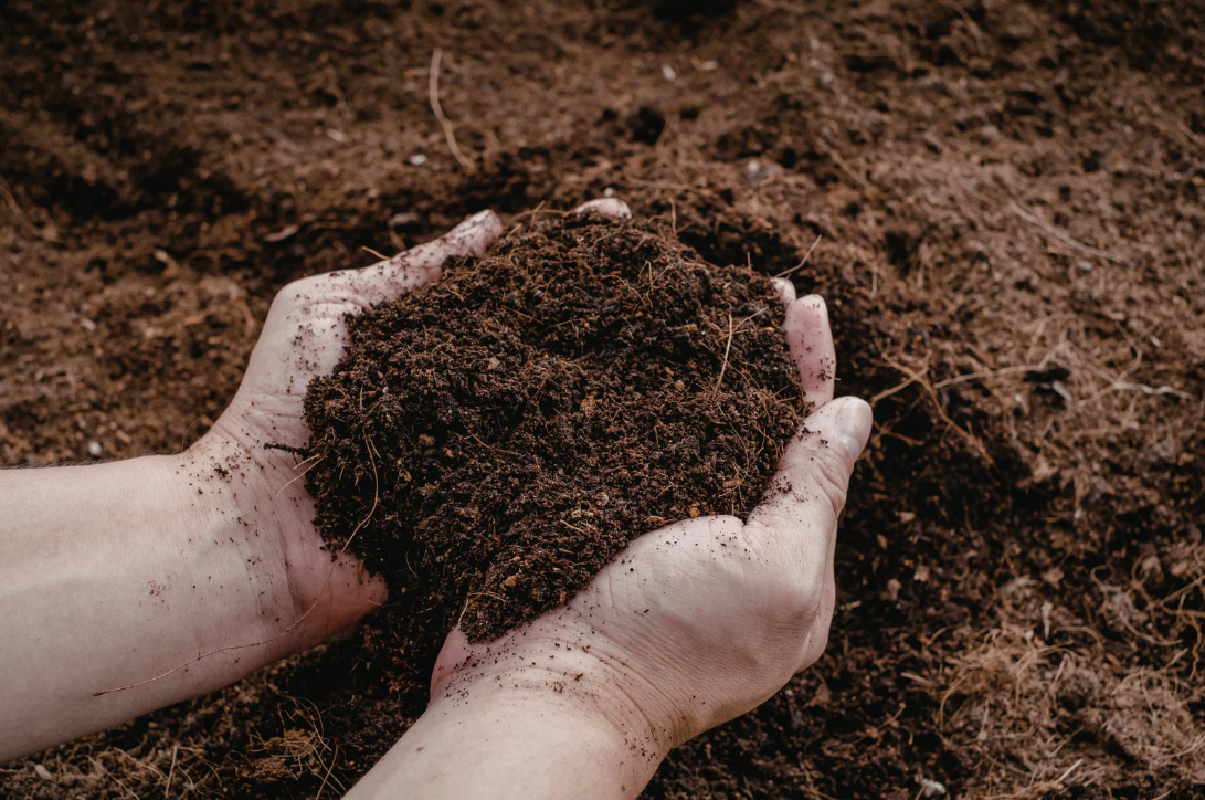 Mulch like a Pro this Spring!