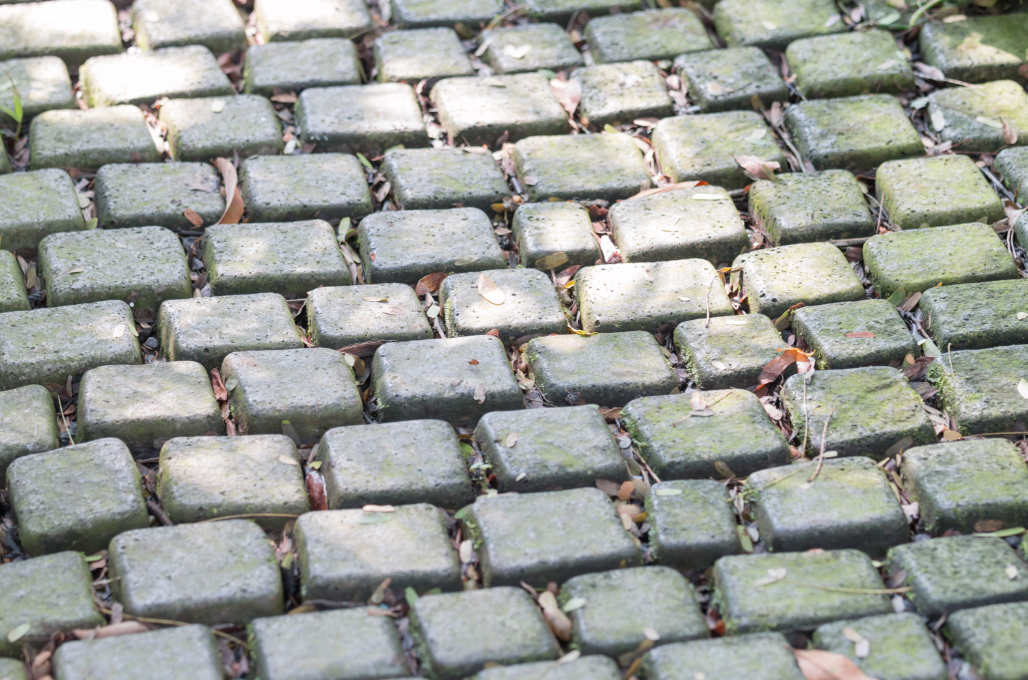 Screenshot 2026-04-07 111824.png