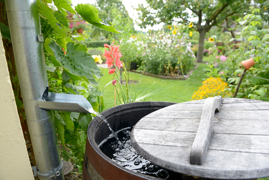 Rain Barrels &amp; Cisterns