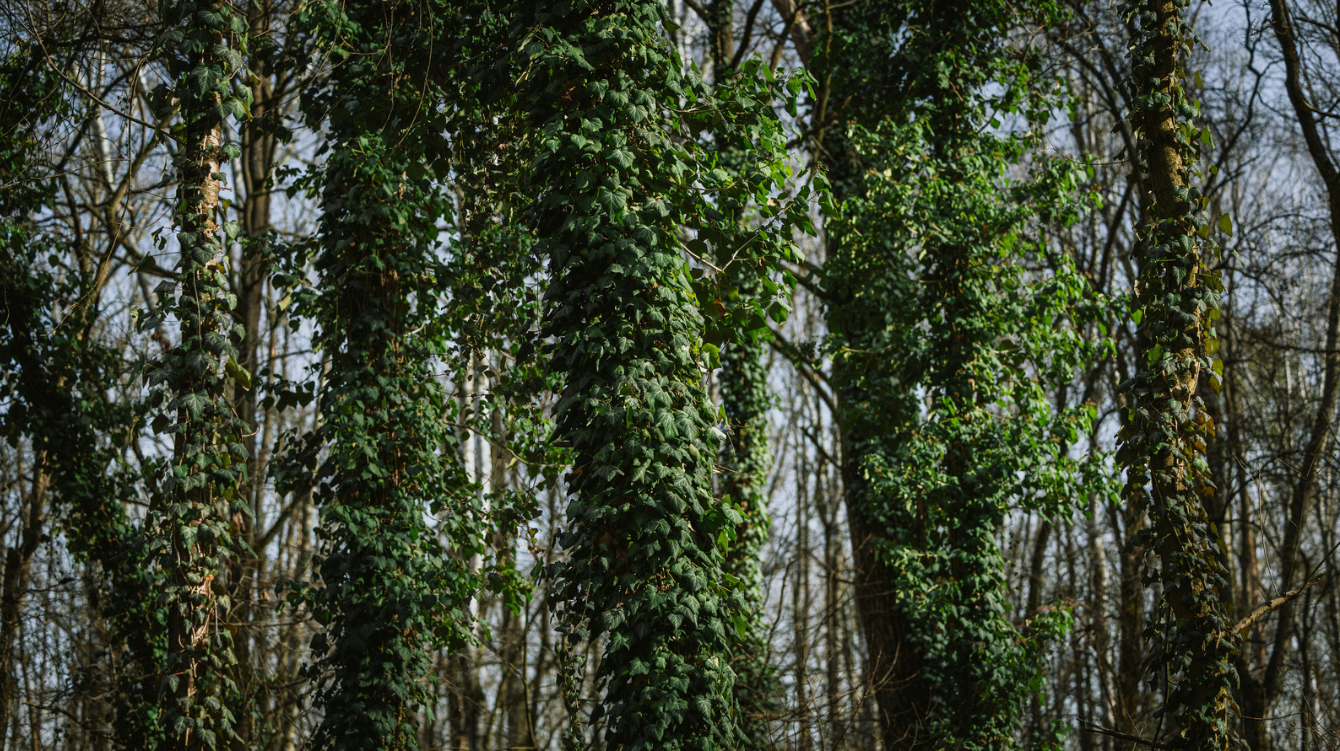 Sugg-Jeff-tion: Winter 2024