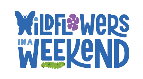 Wildflowers in a Weekend Kit Pick-up