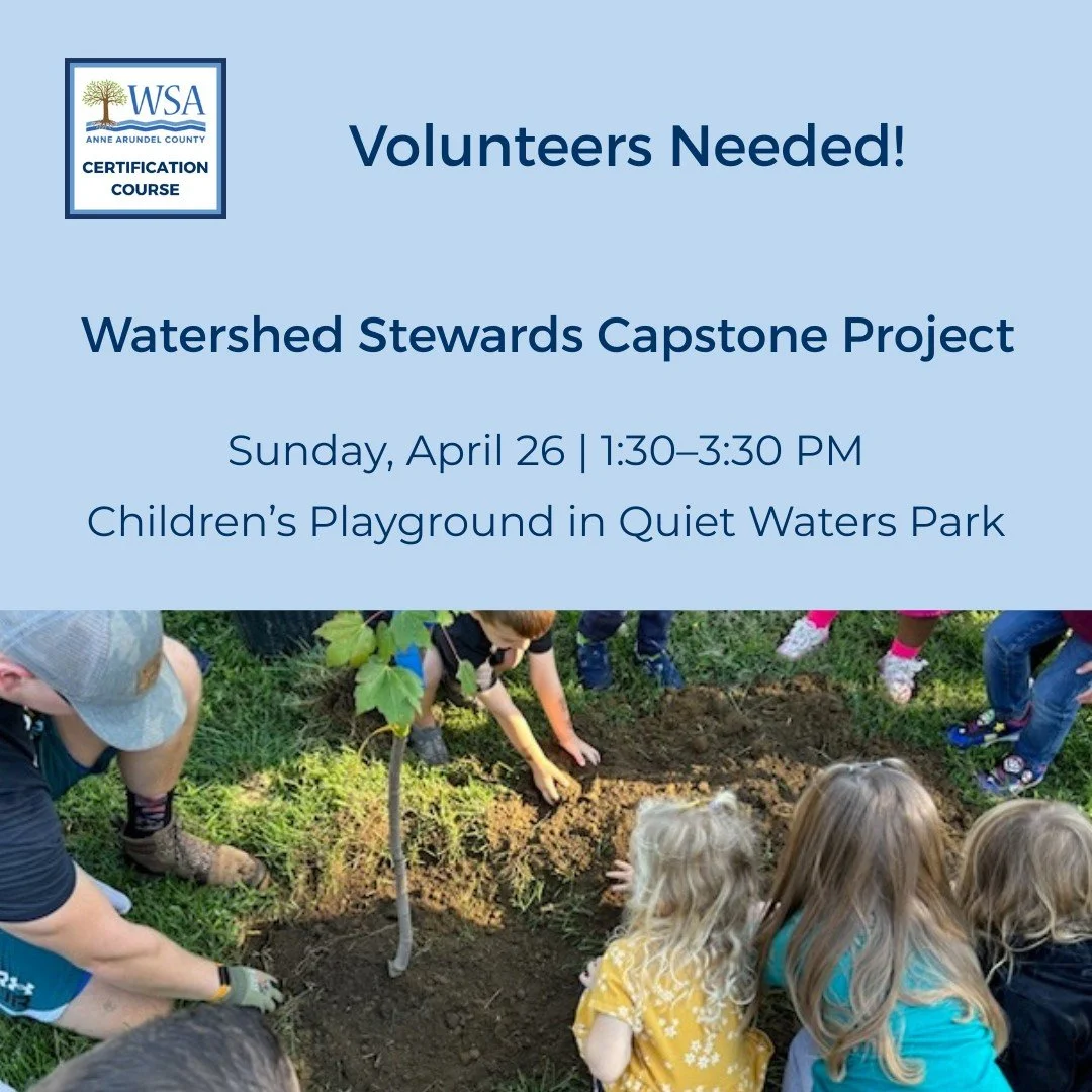WSA Capstone: Children's Native Plant Garden at Quiet Waters Park